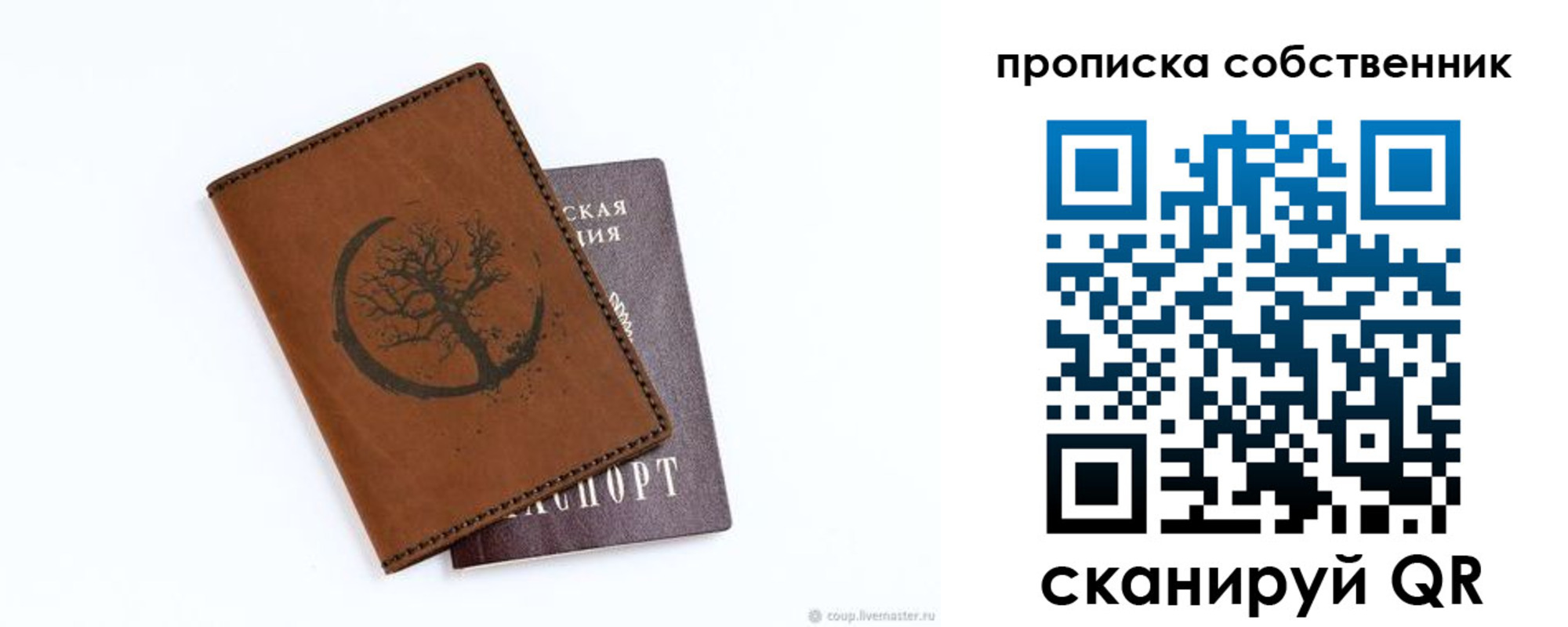 прописка поиск в Жуковском